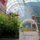 Image for article titled 7 Dead Shopping Malls That Found Surprising Second Lives